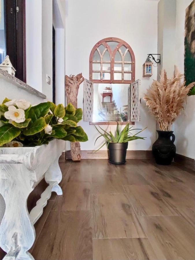 Domus Rubra Apartment